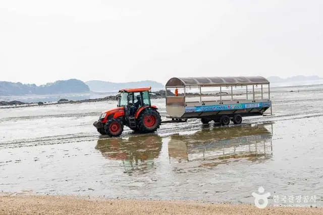 선재도(선재도 어촌체험마을) 사진