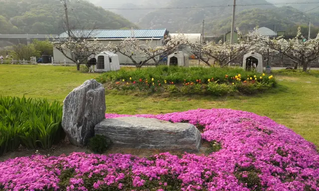애심목장 사진