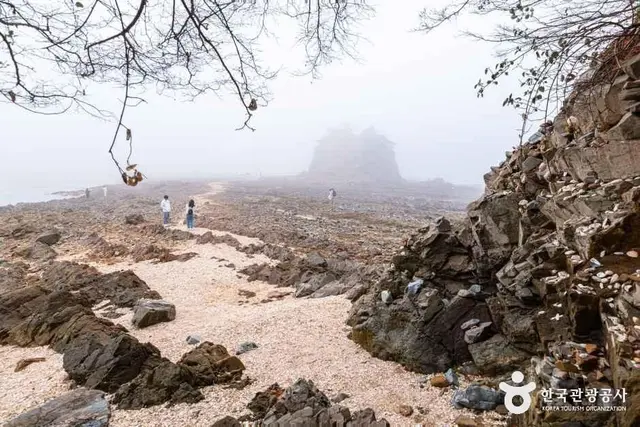 꽃지해수욕장 사진