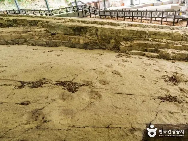 화순 서유리 공룡발자국 화석산지 사진