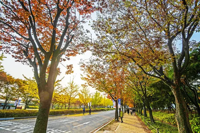 인천대공원 사진