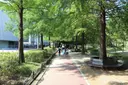 둔산대공원 사진