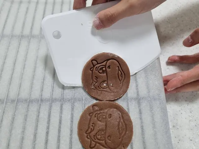 횡성한우체험관 사진