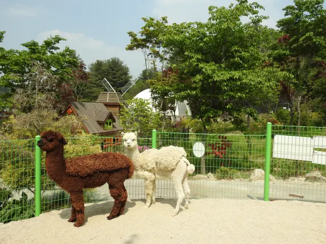 아침고요가족동물원 사진