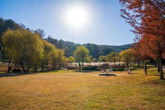 통영RCE세자트라숲 사진