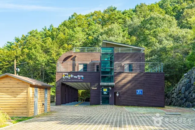 구재봉자연휴양림 사진