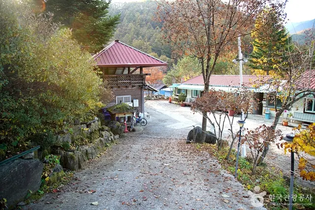 알프스벨리 사계절썰매장 사진