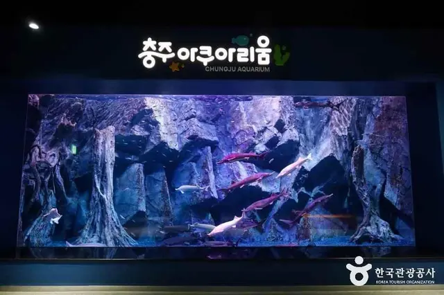 충주아쿠아리움 사진