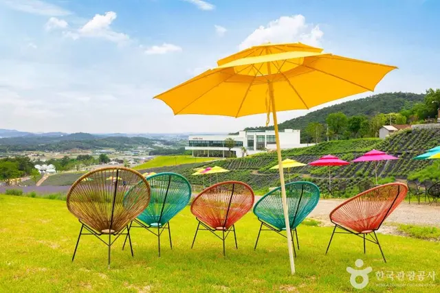 정읍 허브원 사진