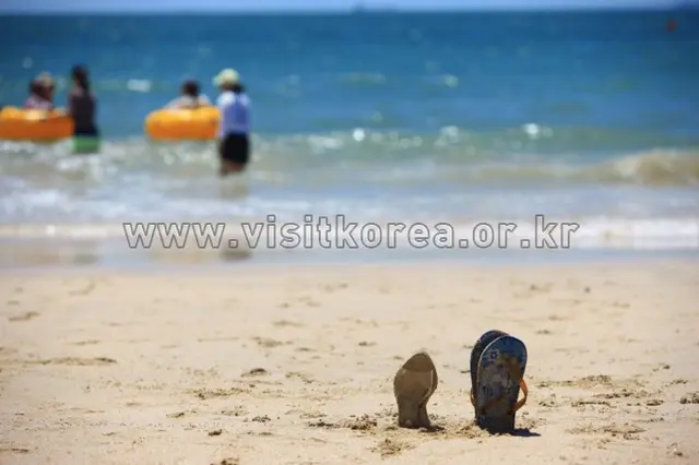 대천해수욕장 사진