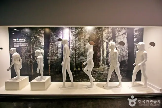 대전선사박물관 사진