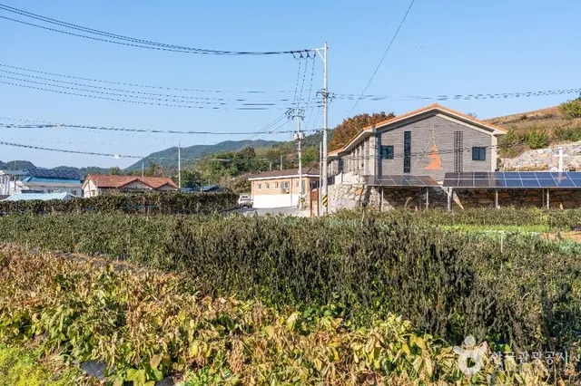 월악산 약초마을 사진