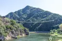 월영산 출렁다리 사진