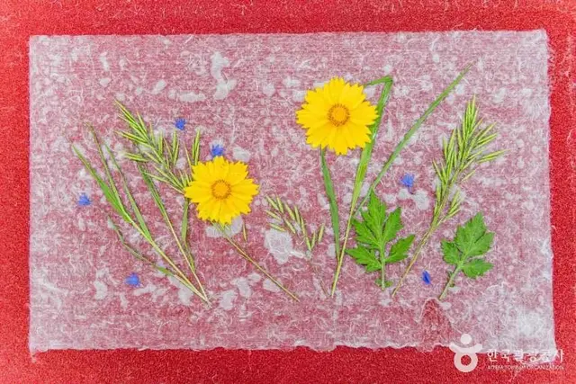 괴산한지체험박물관 사진