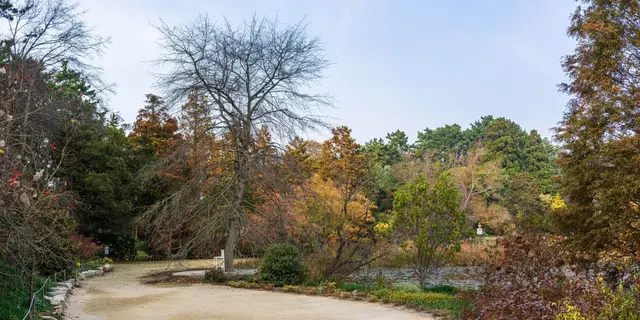 천리포수목원 사진