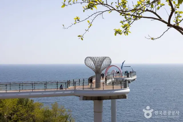 도째비골스카이밸리 사진