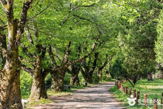 속리산조각공원 사진