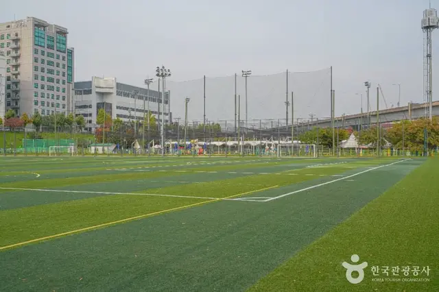 살곶이체육공원 사진