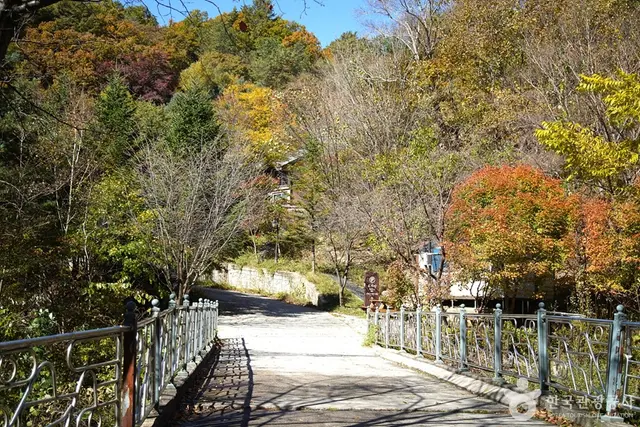 국립 복주산자연휴양림 사진