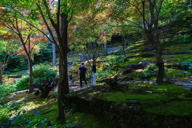 화담숲 사진