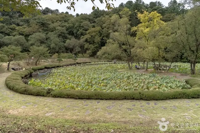 공작산생태숲 사진