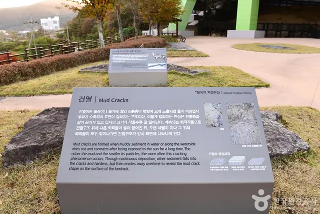 화순 서유리 공룡발자국 화석산지 사진