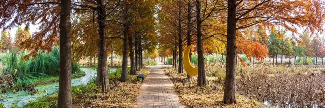 청산수목원 사진