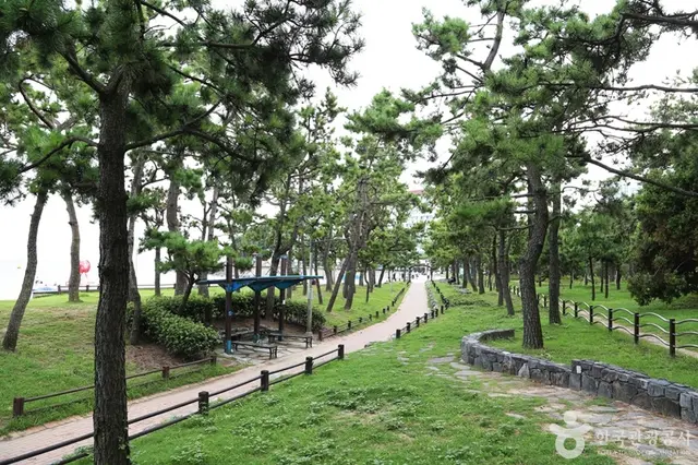 송림공원 사진