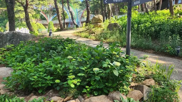 지리산정원 유아숲체험원 사진