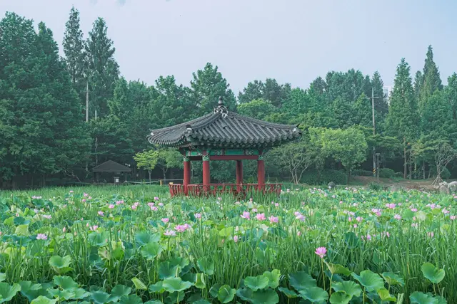 덕진공원 사진