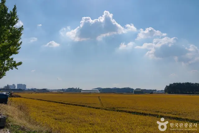 금강하구둑관광지 어린이놀이터 사진