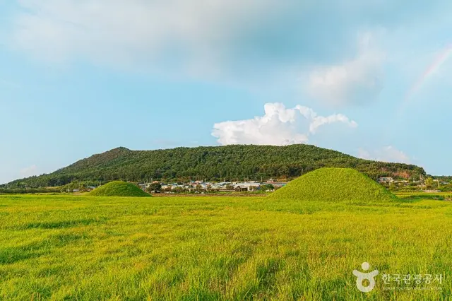 나주 복암리 고분군 사진