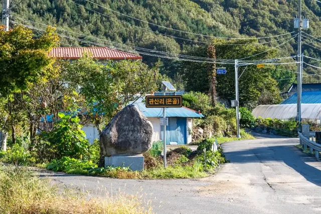 은골구기자마을 사진