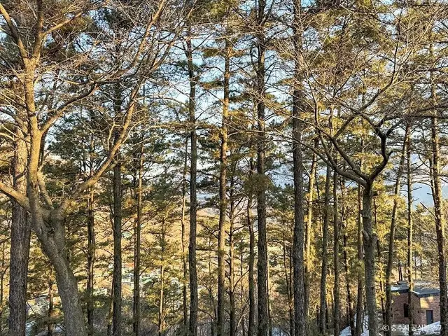 계명산 자연휴양림 사진