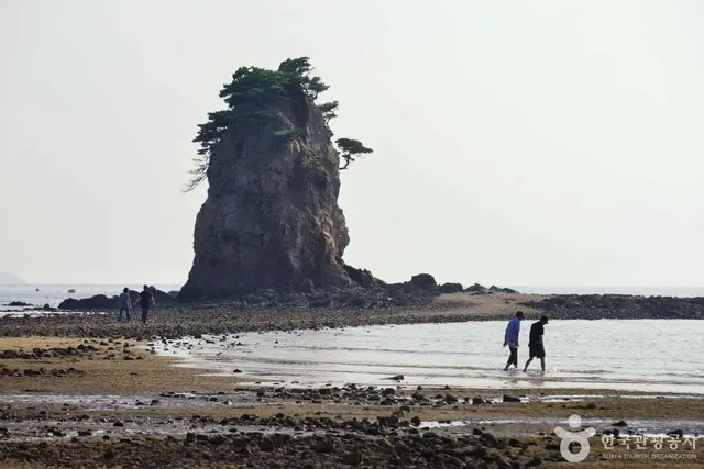 꽃지해수욕장 사진