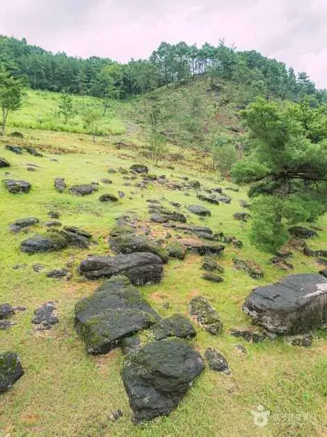 세계유산 화순고인돌유적 사진
