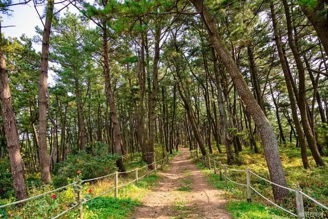 승봉산림욕장 사진