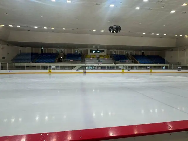 탄천종합운동장 빙상장 사진