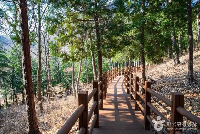 울산수목원 사진