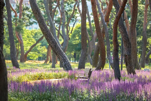 황성공원 사진