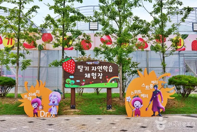 딸기향농촌테마공원 사진
