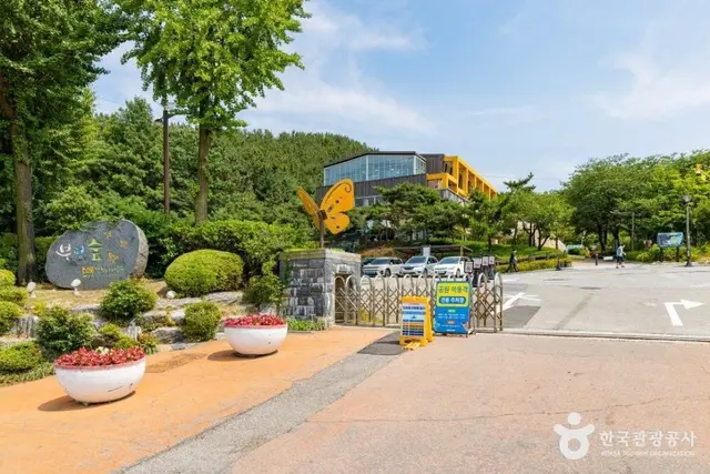 인천나비공원 사진