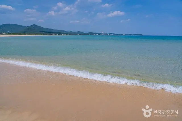 송지호해수욕장 사진