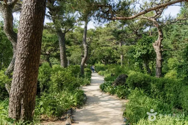 벽초지수목원 사진
