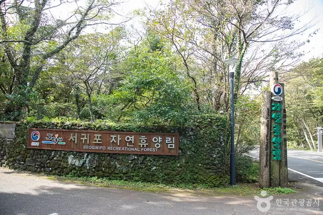 서귀포자연휴양림 사진