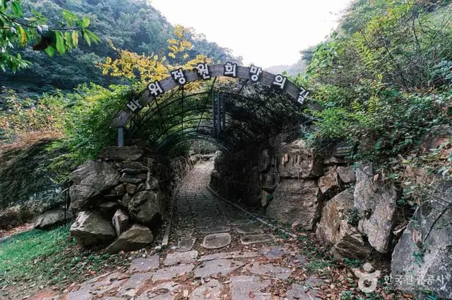 좌구산 자연휴양림 사진