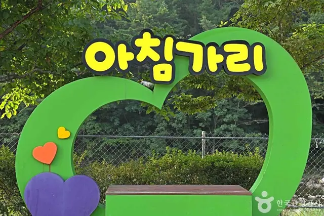 아침가리계곡 사진