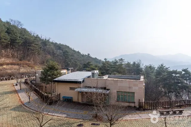 안동호반자연휴양림 사진