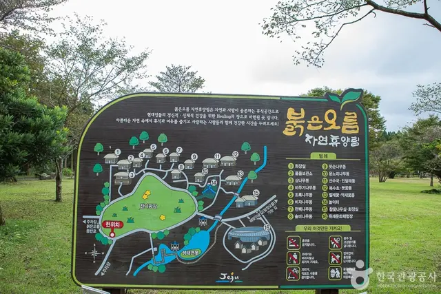 붉은오름자연휴양림 사진
