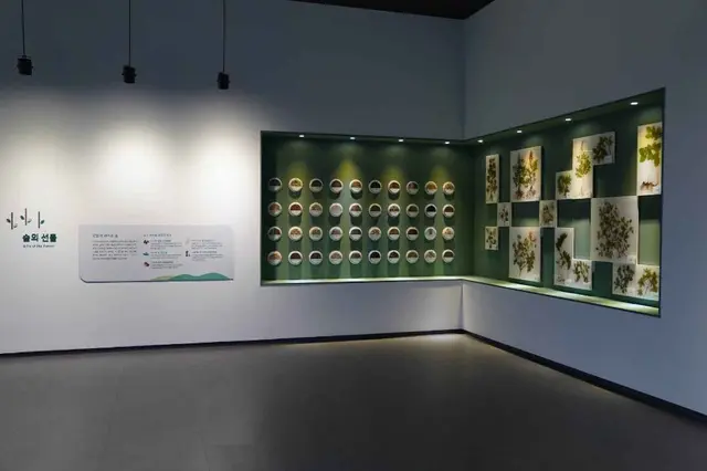 경상북도산림과학박물관 사진